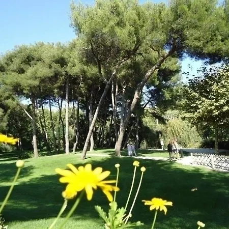 Verdon Apartman *